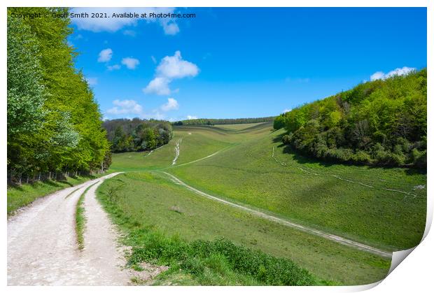Monarchs Way in South Downs National Park Print by Geoff Smith