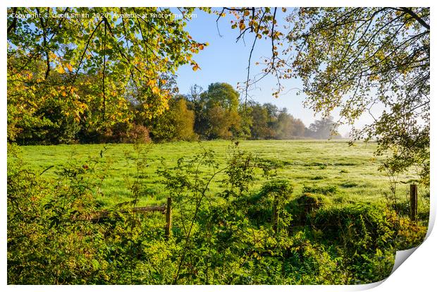 Autumn Morning Scene Print by Geoff Smith