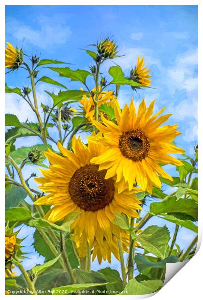 Sun flowers Van Gogh style Print by Allan Bell