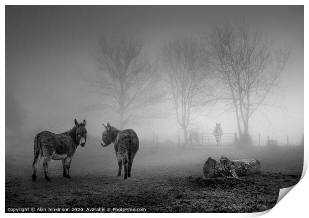 Donkey Sanctuary in the Mist Print by Alan Jenkinson