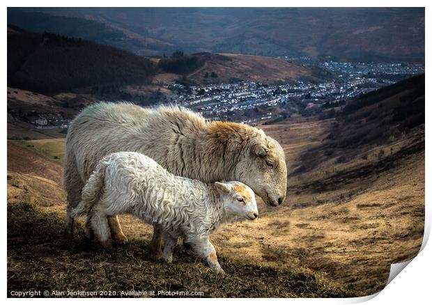 Ewe and Lamb On The Bwlch Above Treorchy Print by Alan Jenkinson