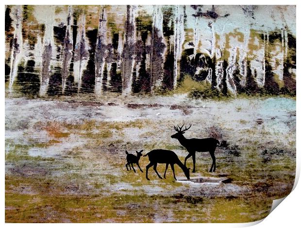 Grazing Deer Print by Robert Fennah