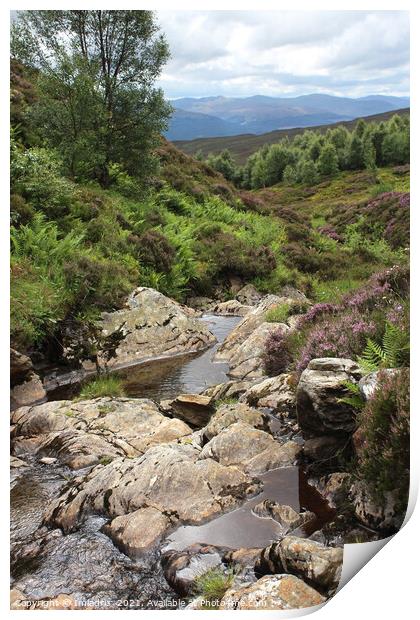 Edramucky Trail, Ben Lawers, Scotland Print by Imladris 