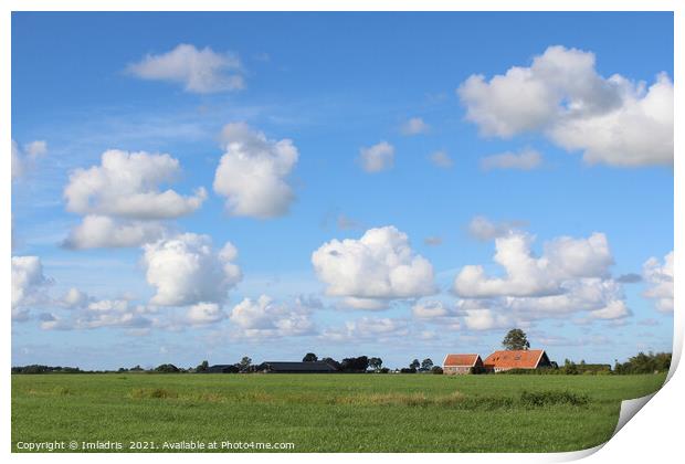 Landscape near Kollum, Friesland, The Netherlands Print by Imladris 