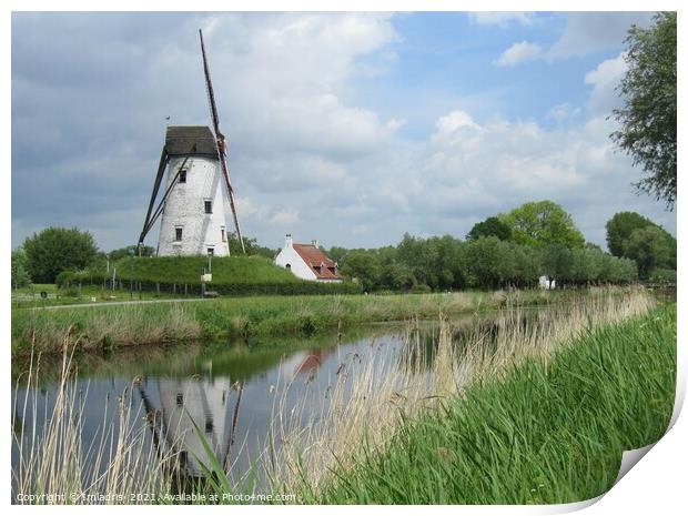 Windmill Damme, West Flanders, Belgium Print by Imladris 