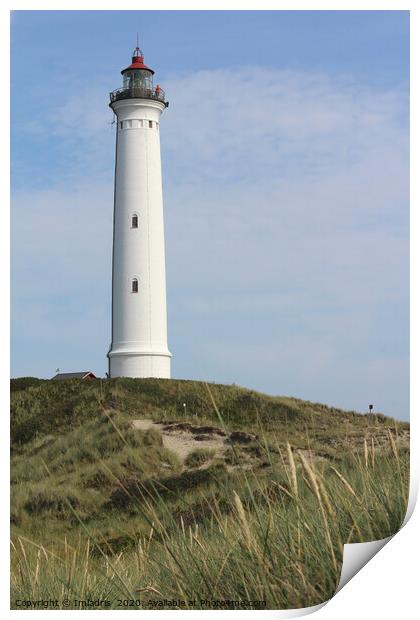Lyngvig Fyr Lighthouse, Jutland, Denmark Print by Imladris 