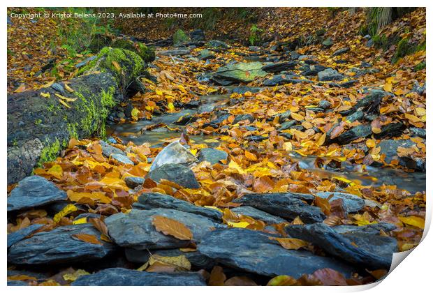 Autumn forest scene with colored foliage and flowing water between rocks Print by Kristof Bellens
