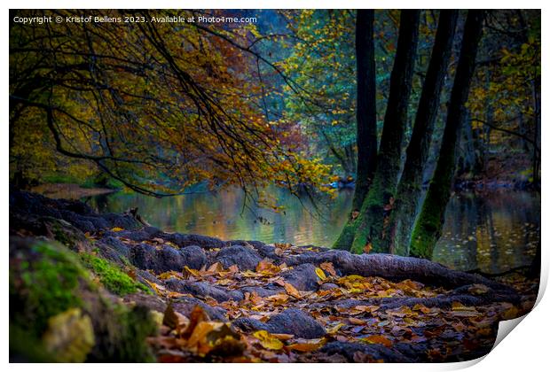 Autumn Ourthe river scene in the woodlands of the Ardennes in Wallonia, Belgium. Print by Kristof Bellens