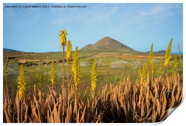 Springtime on Lanzarote, with volcanic landscape view on mount Guenia and Agave flowers in the foreground. Print by Kristof Bellens