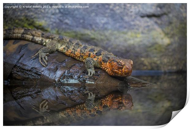 Close-up shot of Chinese crocodile lizard near water Print by Kristof Bellens