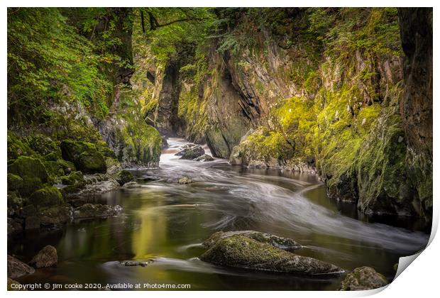 The Fairy Glen Print by jim cooke