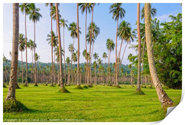 Manicured lawn with coconut trees - Espiritu Santo Print by Laszlo Konya