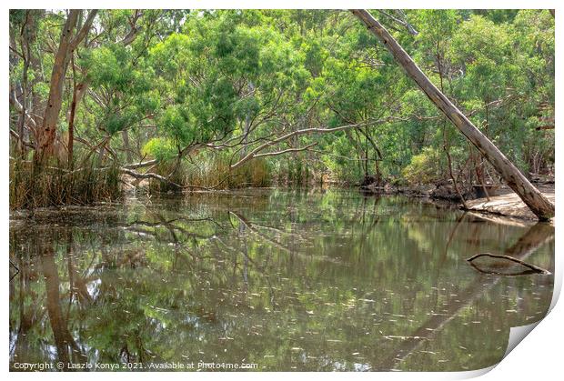 Wilpena Creek - Wilpena Pound Print by Laszlo Konya