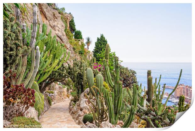 Cacti and other succulents - Monaco Print by Laszlo Konya