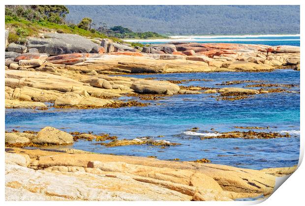 Water, shrubs and rocks - Bicheno Print by Laszlo Konya