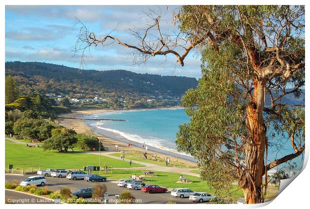 Gum tree - Lorne Print by Laszlo Konya