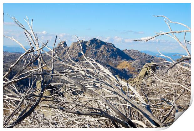 View from The Horn - Mt Buffalo Print by Laszlo Konya