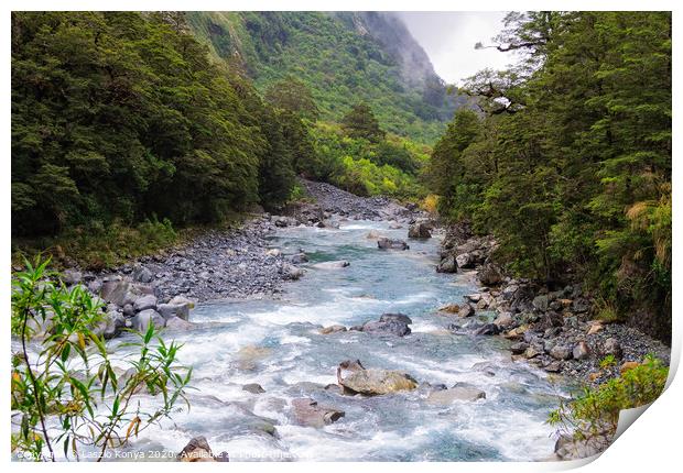 Creek - Fiordland National Park Print by Laszlo Konya