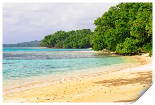 Beach - Espiritu Santo Print by Laszlo Konya