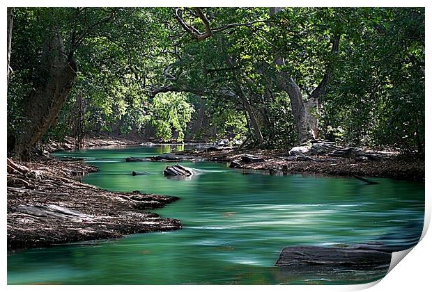  Rainforest river Print by Ian Turnell