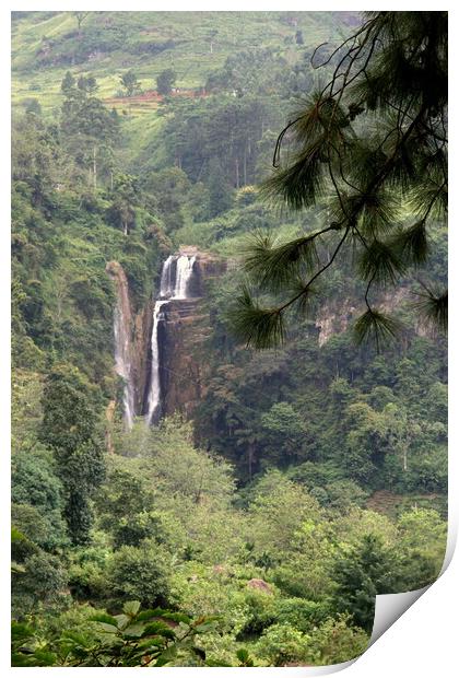 Rain forest waterfall Sri Lanka Print by Ian Turnell