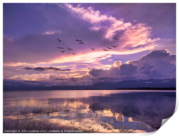 The view at dusk on Lake Poso Print by John Lusikooy