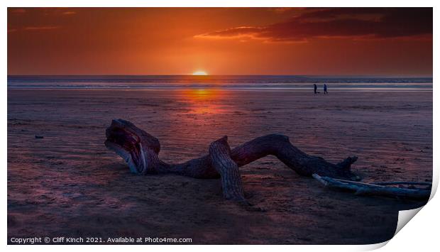 Driftwood on Berrow Beach Print by Cliff Kinch