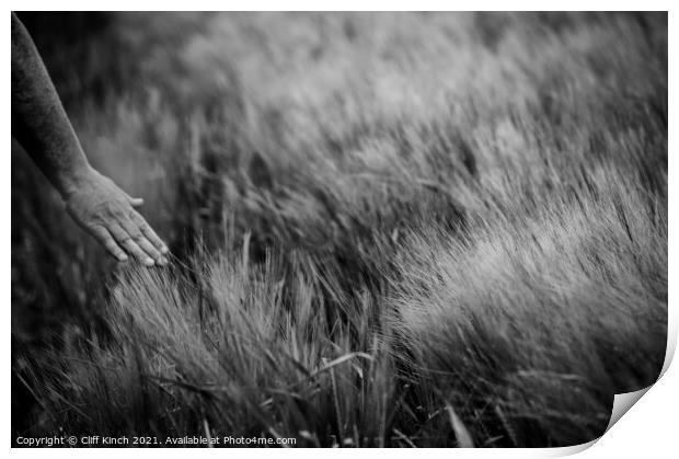 The touch of barley Print by Cliff Kinch