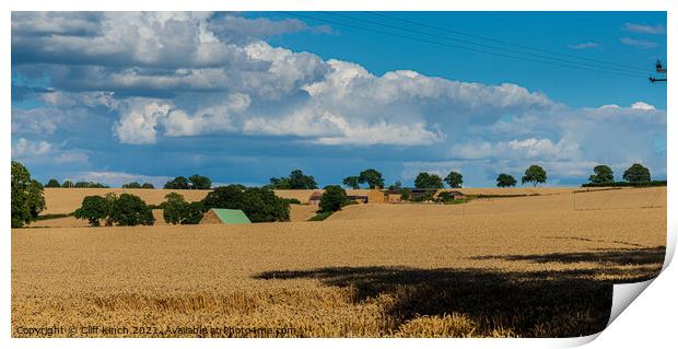 Serene Summer Wheat Field Print by Cliff Kinch