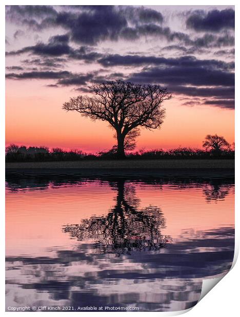 Dawn behind a lone tree  Print by Cliff Kinch