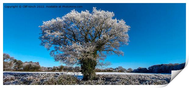 Majestic Oak Tree in Winter Wonderland Print by Cliff Kinch