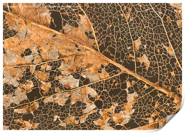 Leaf decay abstract Print by Cliff Kinch