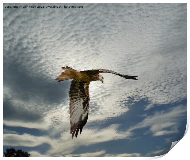 Soaring Red Kite Amidst Clouds Print by Cliff Kinch
