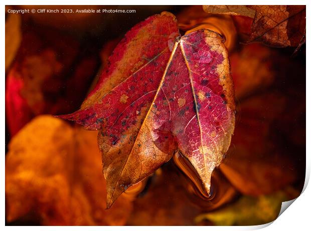 Autumn leaf Print by Cliff Kinch
