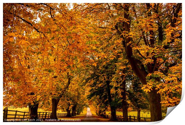 Autumn Canopy Print by Cliff Kinch