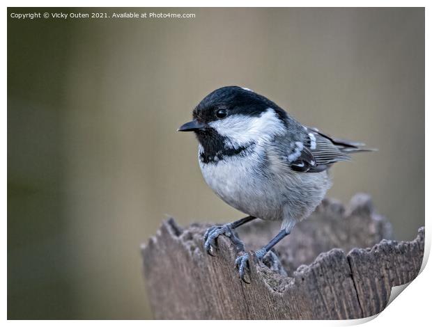 A coal tit perched on a post Print by Vicky Outen