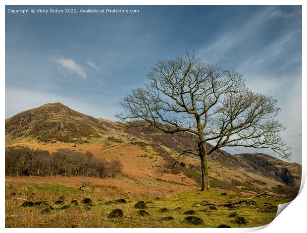 A lone tree at Buttermere in the Lake District  Print by Vicky Outen