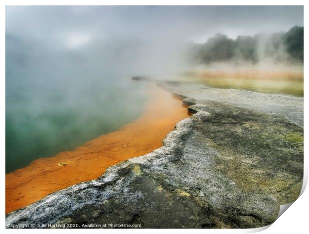 Champagne Pool Print by Julie Hartwig