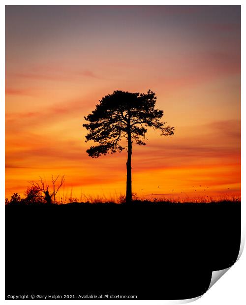 Tree silhouette at dusk Print by Gary Holpin