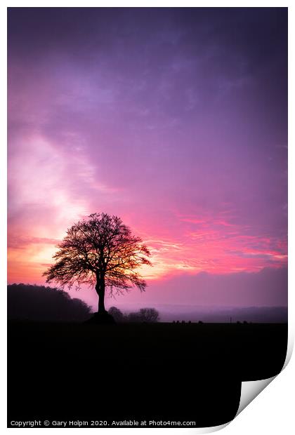 Lone tree at sunset Print by Gary Holpin