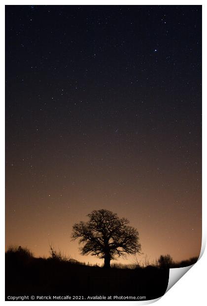 Lonely Tree at Night Print by Patrick Metcalfe