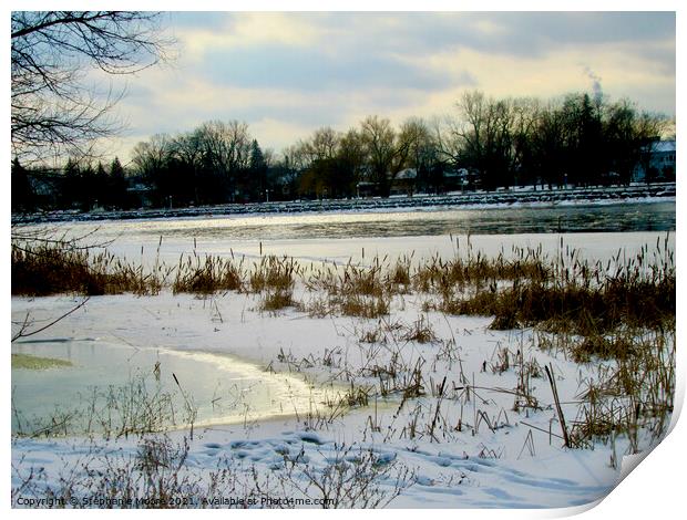 Winter Afternoon Print by Stephanie Moore