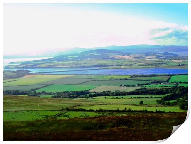 View from Grianan of Aileach Print by Stephanie Moore