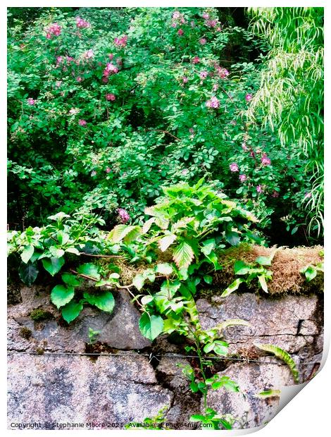  Castle wall Print by Stephanie Moore