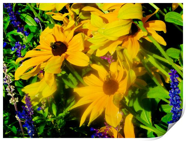 Windblown yellow daisies Print by Stephanie Moore