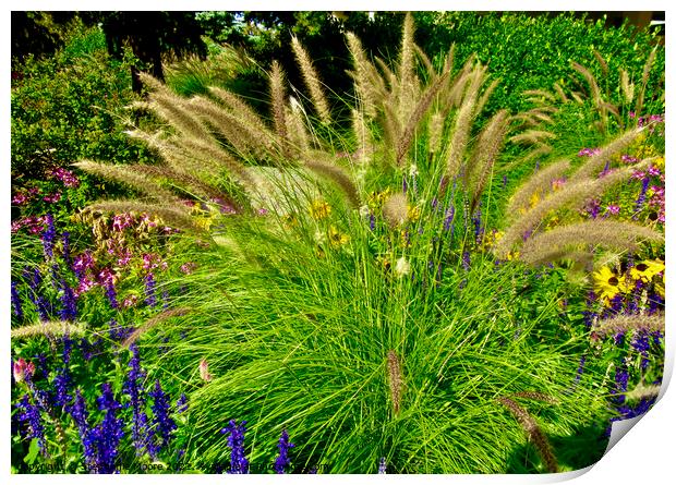 Grass in the garden Print by Stephanie Moore