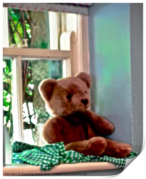 Bear in the Window Print by Stephanie Moore