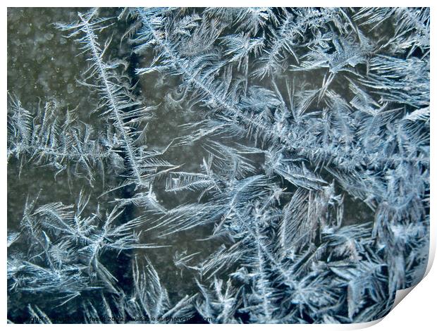 Ice Art #2 Print by Stephanie Moore