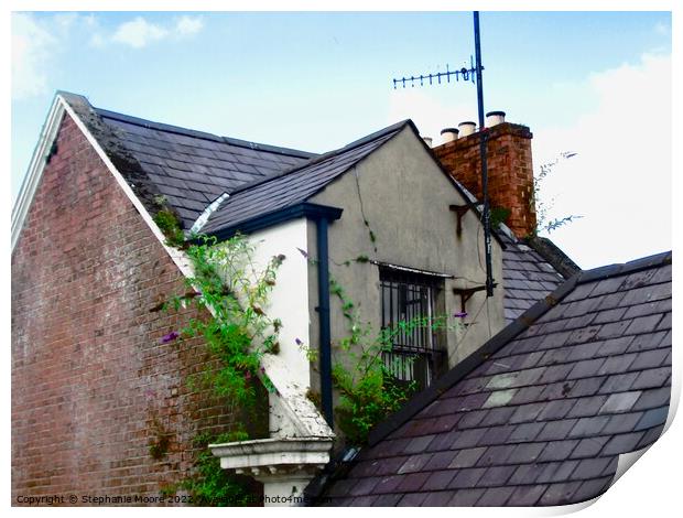 Roofs of Derry Print by Stephanie Moore