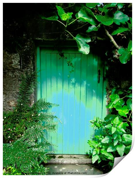 The Green Door Print by Stephanie Moore